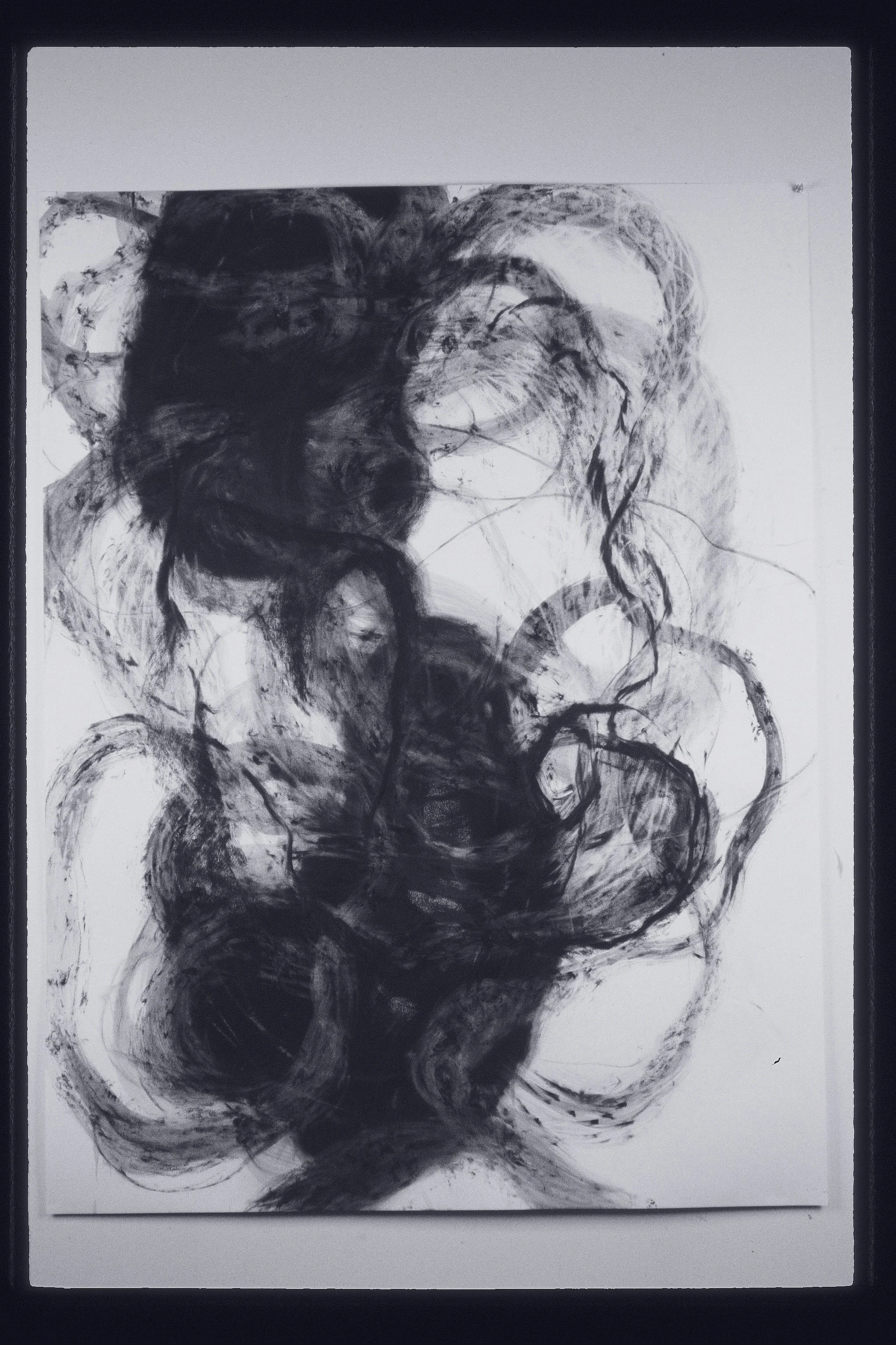 チャコール鉛筆画 1993 - 1995 Graphite and Charcoal on Paper — Yasuko Bush